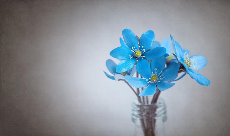 Enchanted Forest Centerpiece